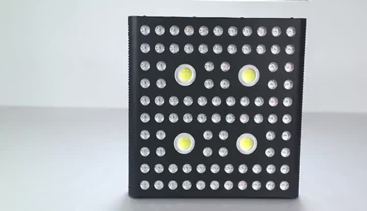 Aglex Cob 2000w Grow Light.mp4