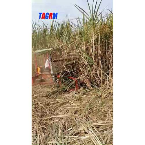 4GP-1 Sugarcane 1-row harvester machine