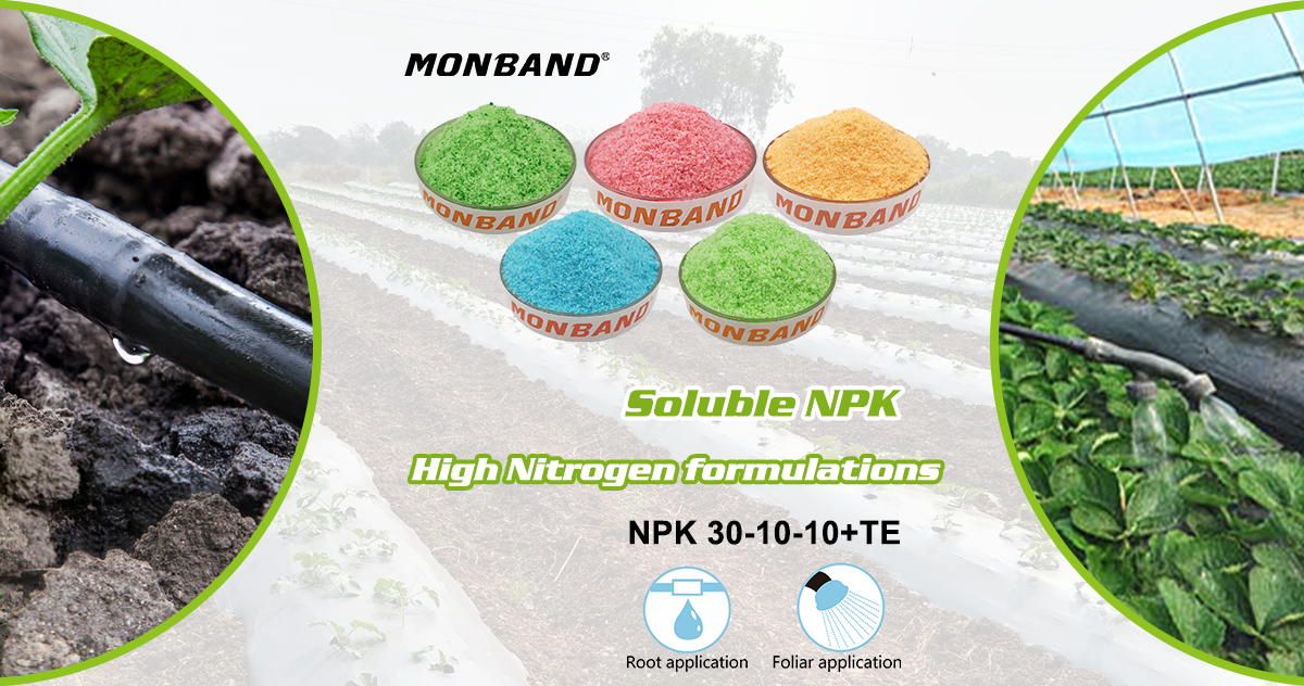 npk larut soluble npk