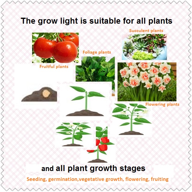 Adequado para todas as plantas e todos os estágios