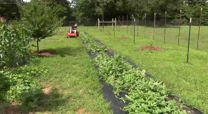 weed control fabric