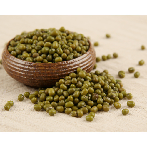 Cereal vegetables Mung bean pests: bean soup