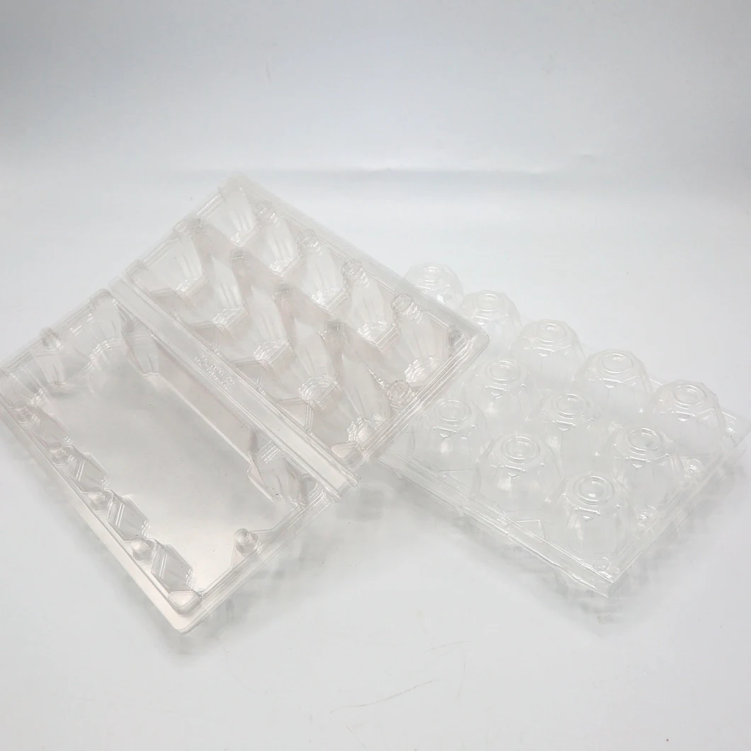 Kosongkan Thermoforming 1 mm Pet Petg Gag Film Sheet Roll Waterproof Thermoformable Pet Film untuk Pembungkusan