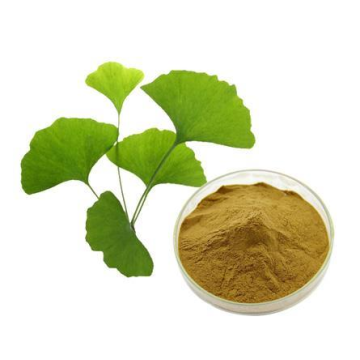 Ginkgo Biloba Extract For Inhibiting Thrombosis And Scavenging Free Radicals