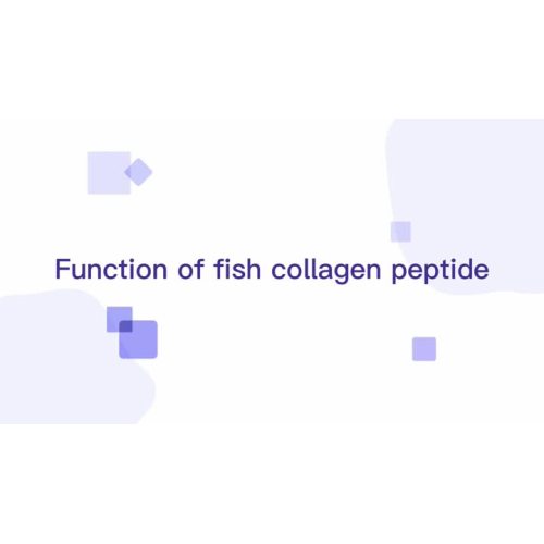 Water solubility test of fish collagen peptide