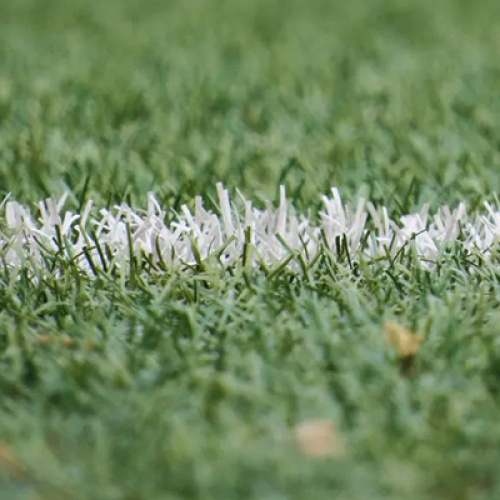 Artificial turf is sustainable