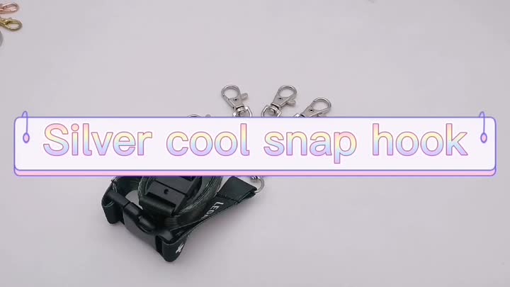 Silver Snap Hook