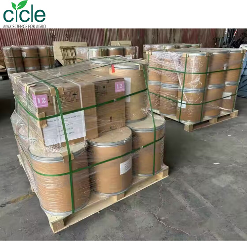 2000KG Rooting Hormone 6BAP &100KG β-Carotene Beadlet10%CWS-OS & 75KG Rutin Exports to Spain