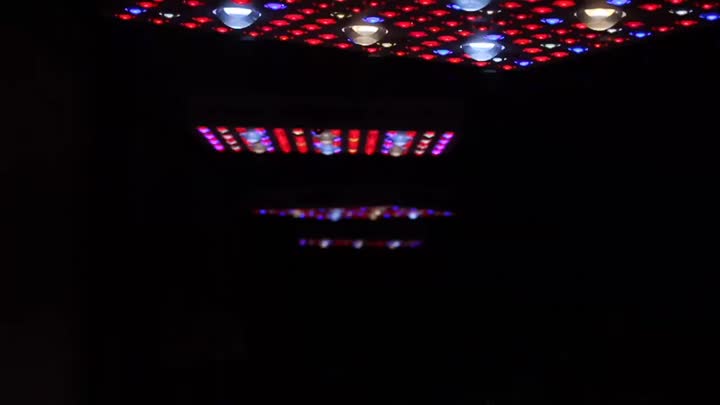 Melhor Phlizon COB LED Grow Light.mp4