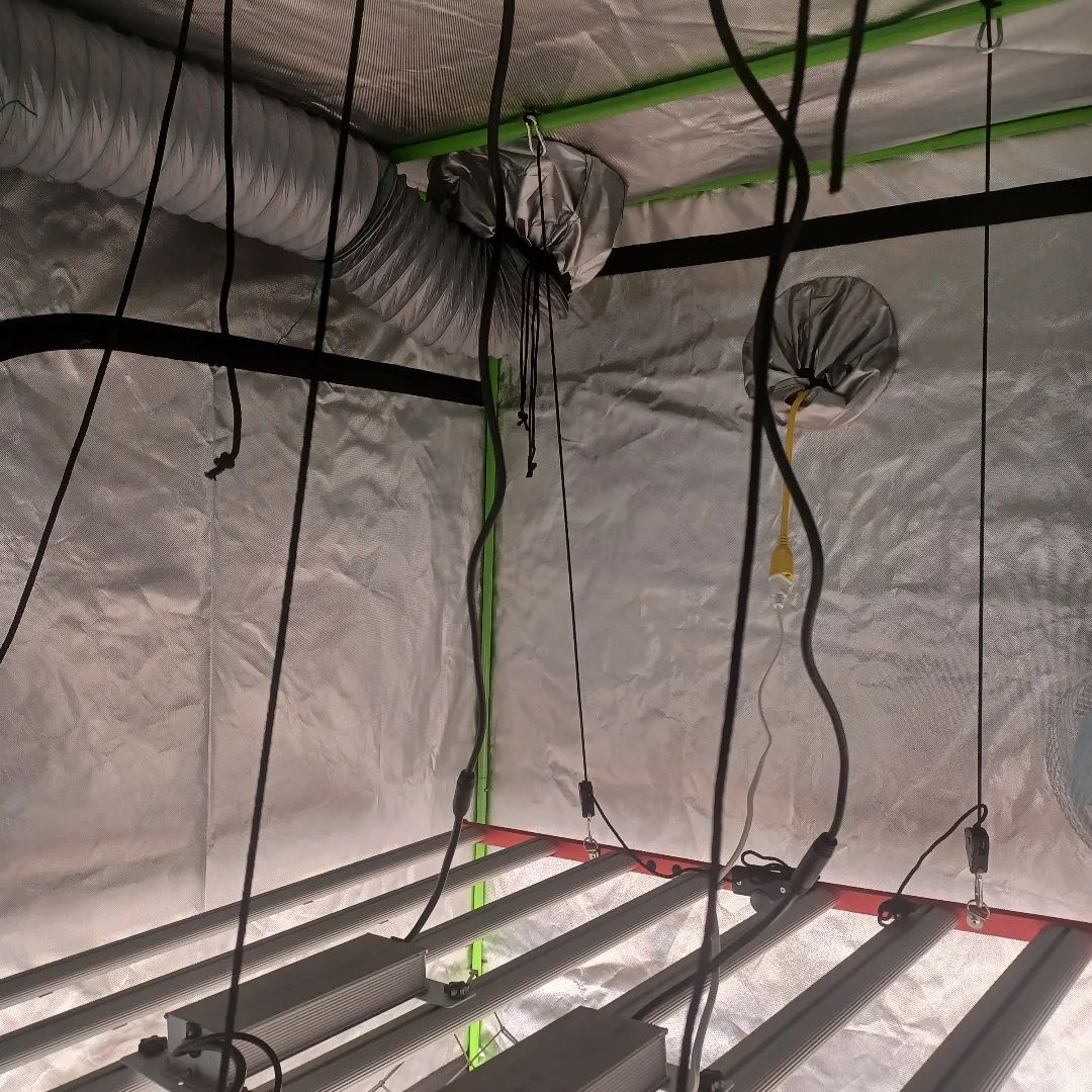 Aglex 800W LED LED GROW LICHT TESTEN