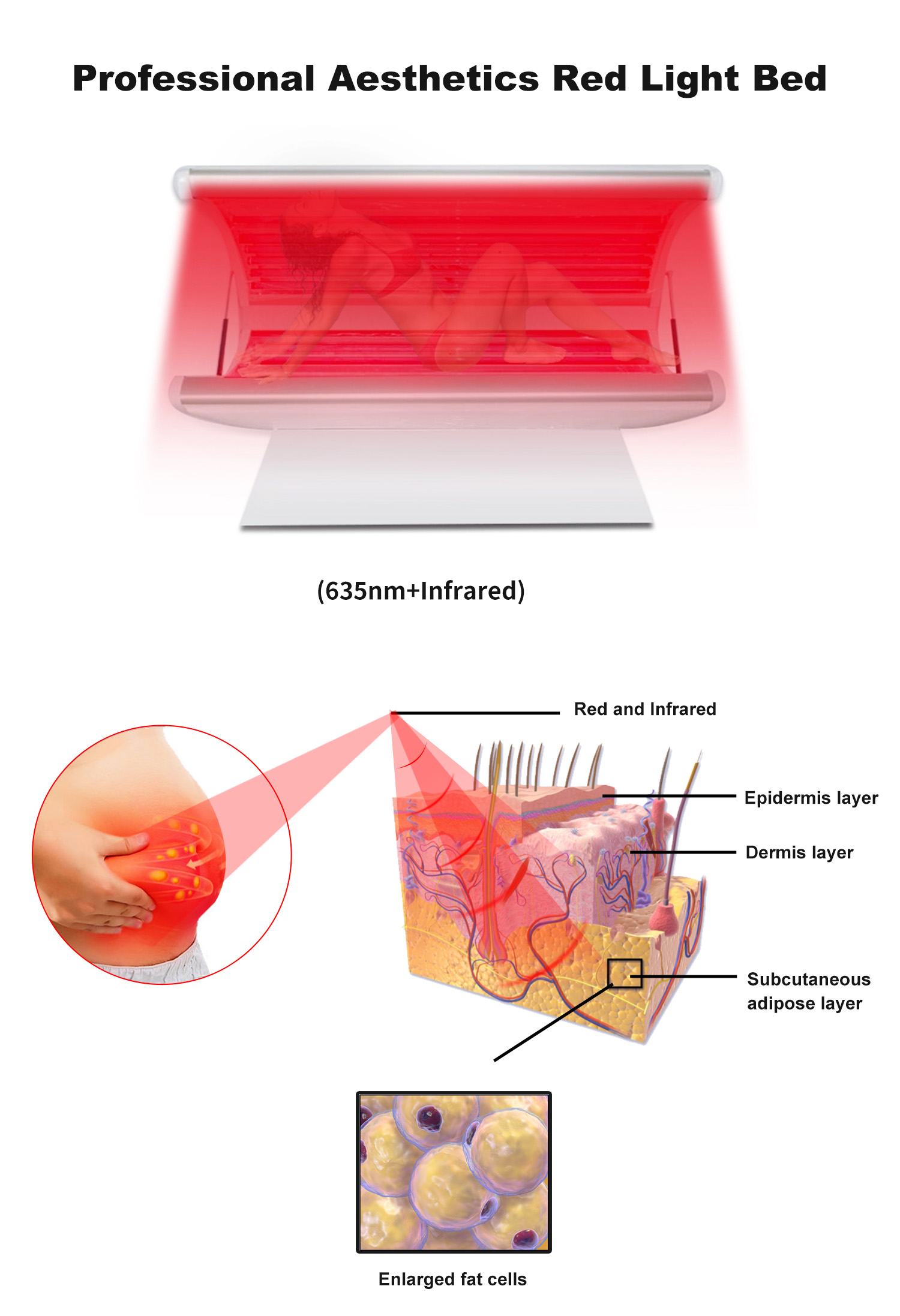 Red light bed (1).png