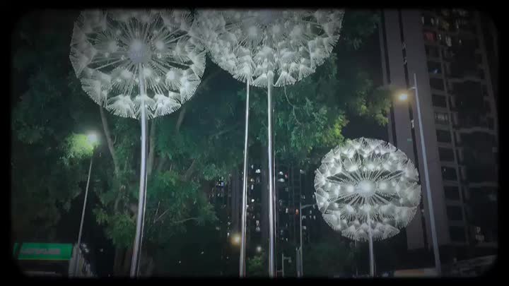 Fibra Ottica Dandelion Light.MP4