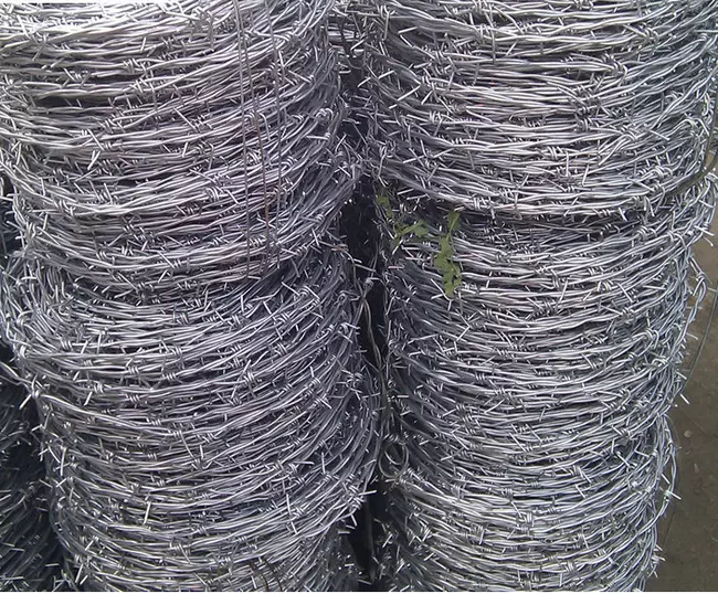 barbed wire 