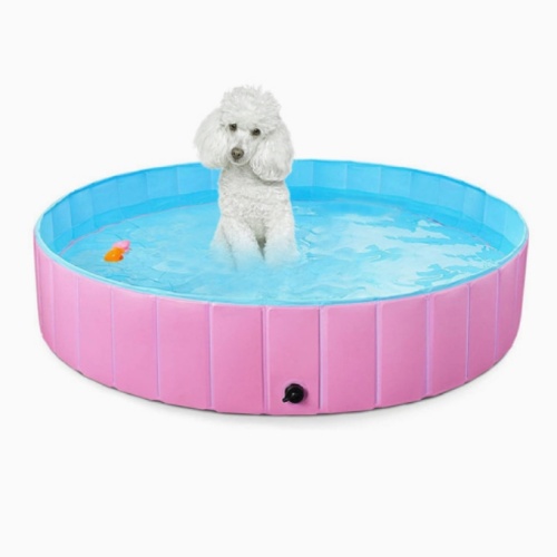 Revelando a alegria das piscinas para cães