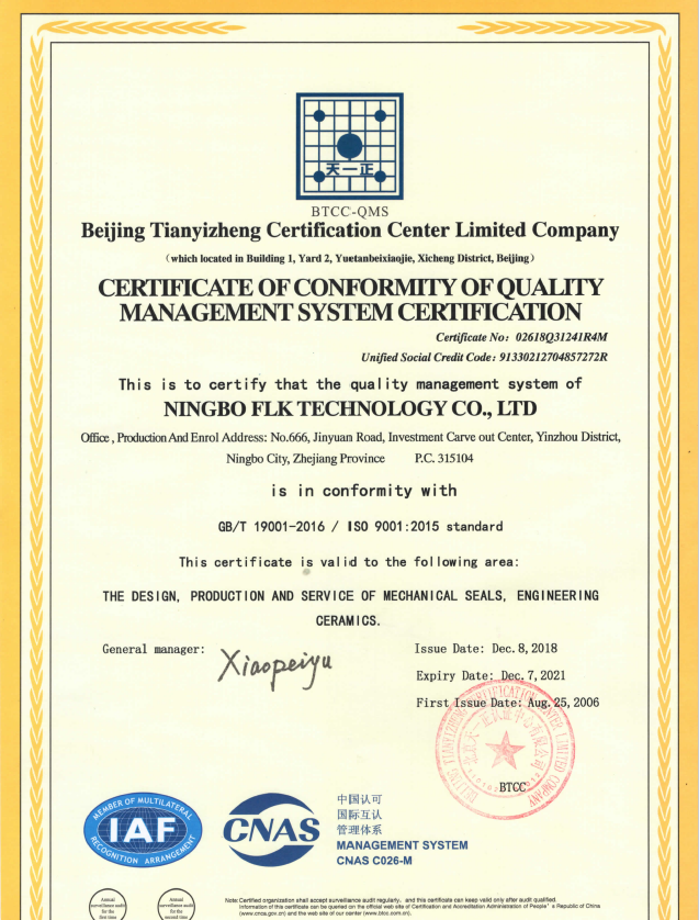 ISO9001 Certificate English Version