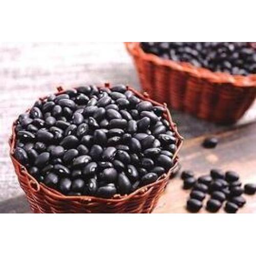 Pharmacological effects of black beans