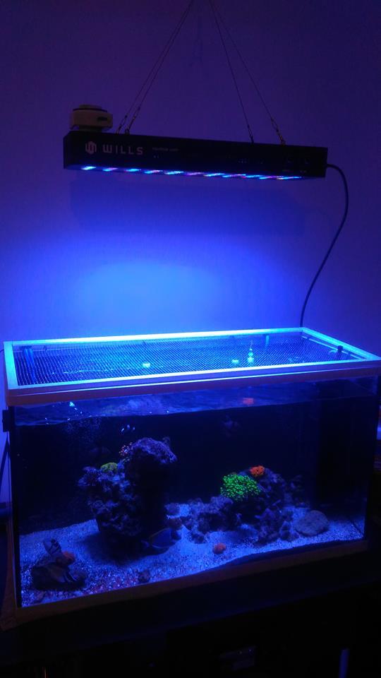 165W LED Aquarium Lights