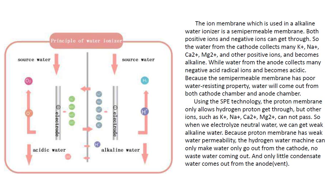 Japan 11plate kangen hydrogen water machine alkaline water ionizer