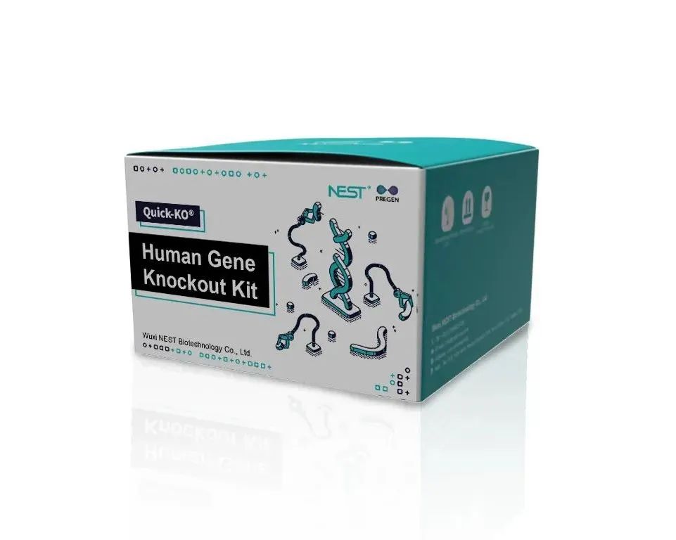 Kit de nocaut de genes de nido humano