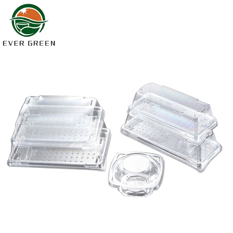 Plastic Clear Sushi Container