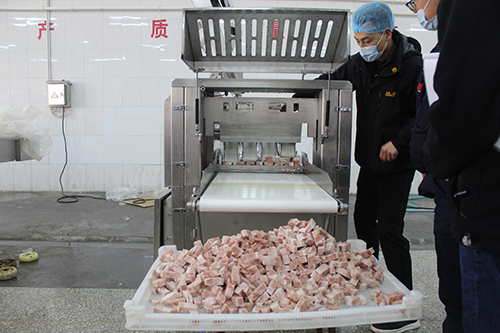 Frozen Meat Cutting Machine