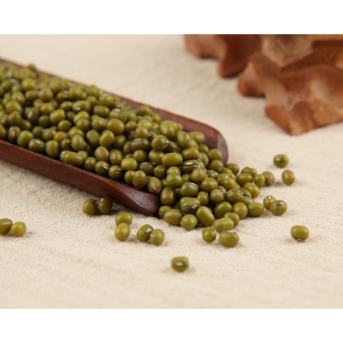 Mung bean is ideal food for pregnant women
