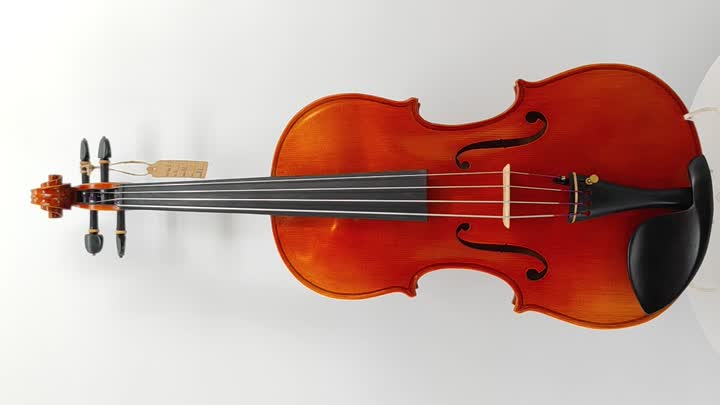 viola-HLC-4