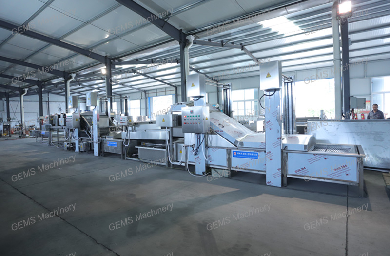 fruit & vegetable washing machine, fruit & vegetable washing production line