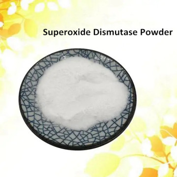 The only scavenging enzyme with free radical as substrate ---- Superoxide Dismutase Powder