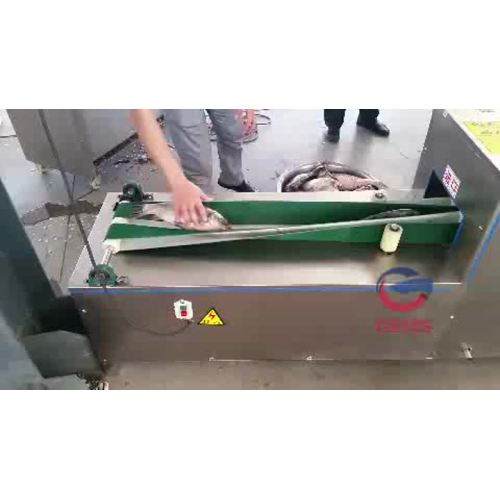 fish gutting machine