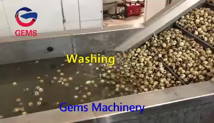 quail egg processing line