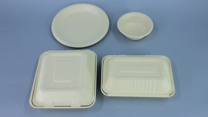 Biodegradable Salad Box