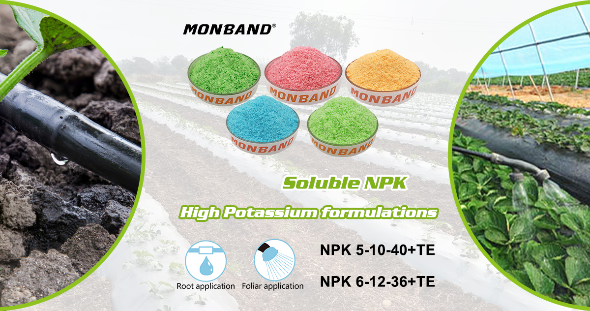 harga npk npk price