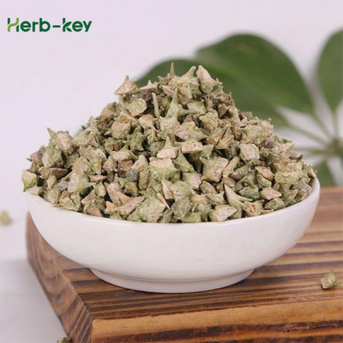 Effects of Tribulus terrestris extract