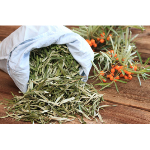 The Function and Application of Seabuckthorn Leaves as Common Food
