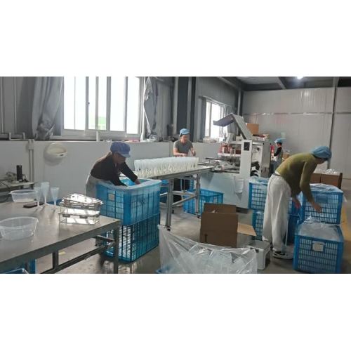 Ruibote Plastic – Tur al atelierului de ambalare în camera curată