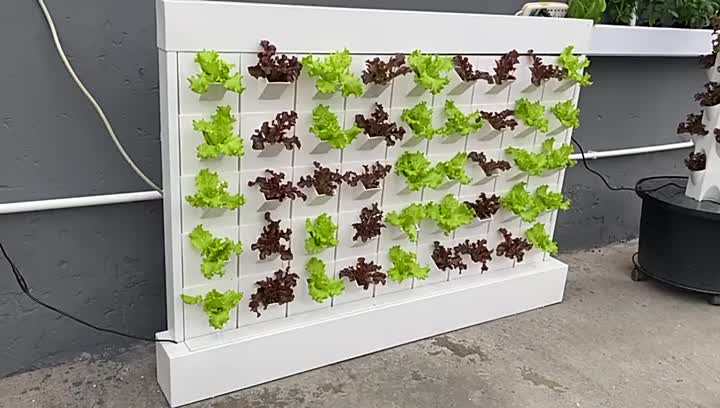 Vertical hydroponics