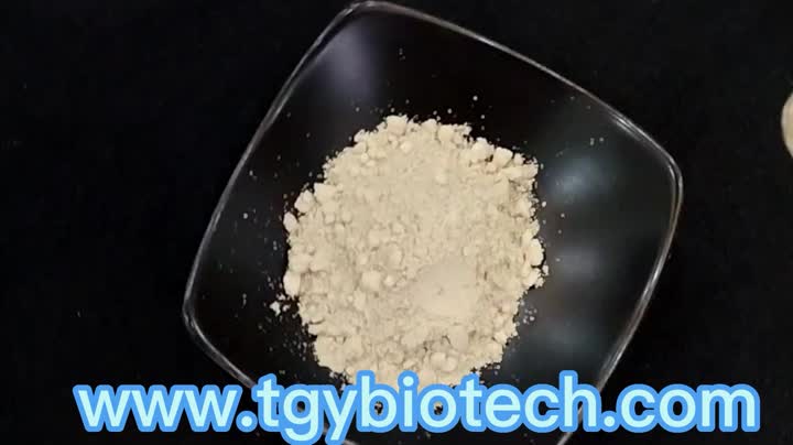 Hydrolyzed Bovine Collagen Powder