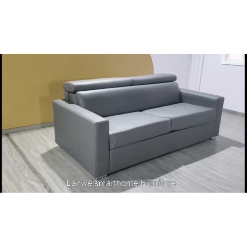 sofa bed 3006
