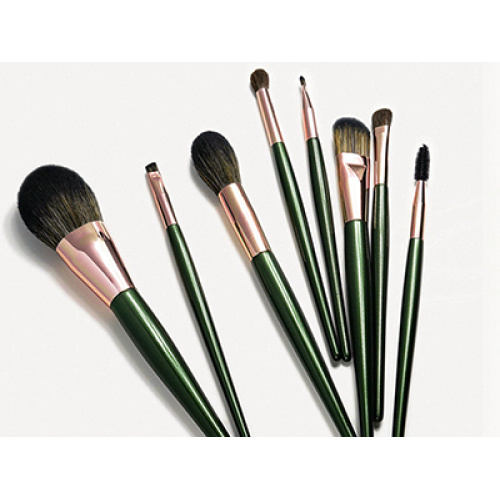 How to choose makeup brushes for beginners?