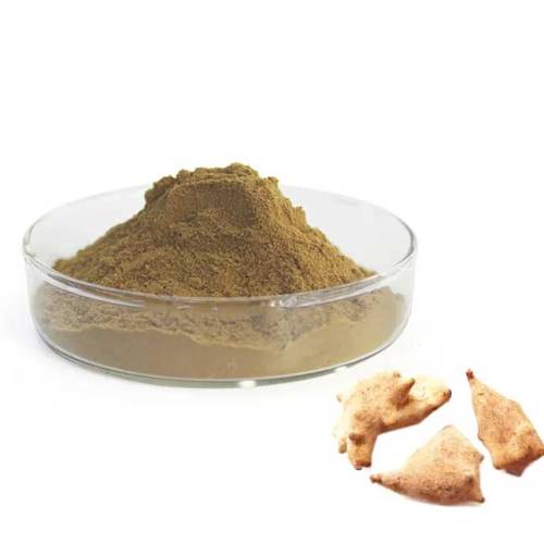 What Is Galla Chinensis Extract?