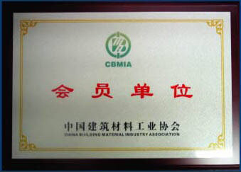 Chinese Building Materials Industry Association (member)