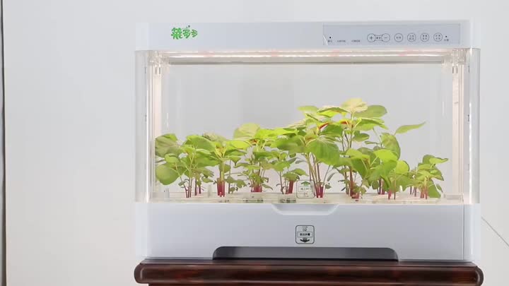 Intelligent hydroponic planter