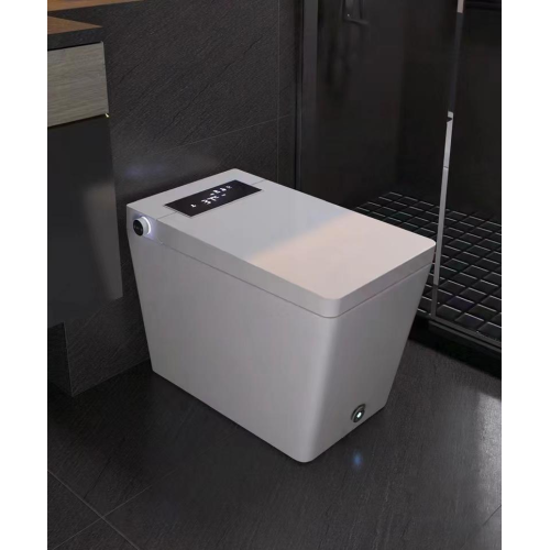 smart toilet