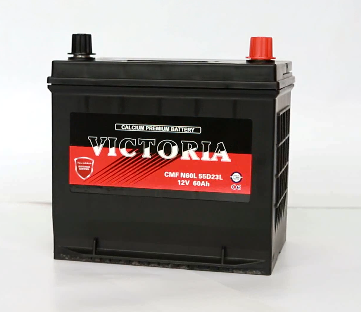 55D23L MF Battery -10