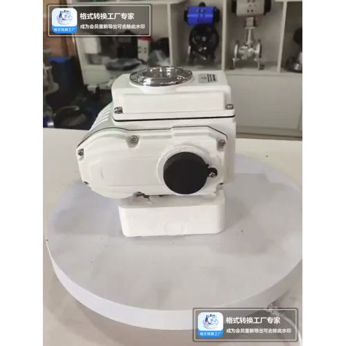 Pușul popular al produsului Zhanxude