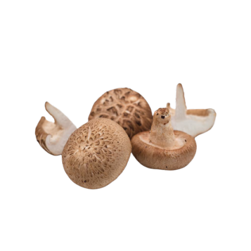 Nutritional value of lentinus edodes extract