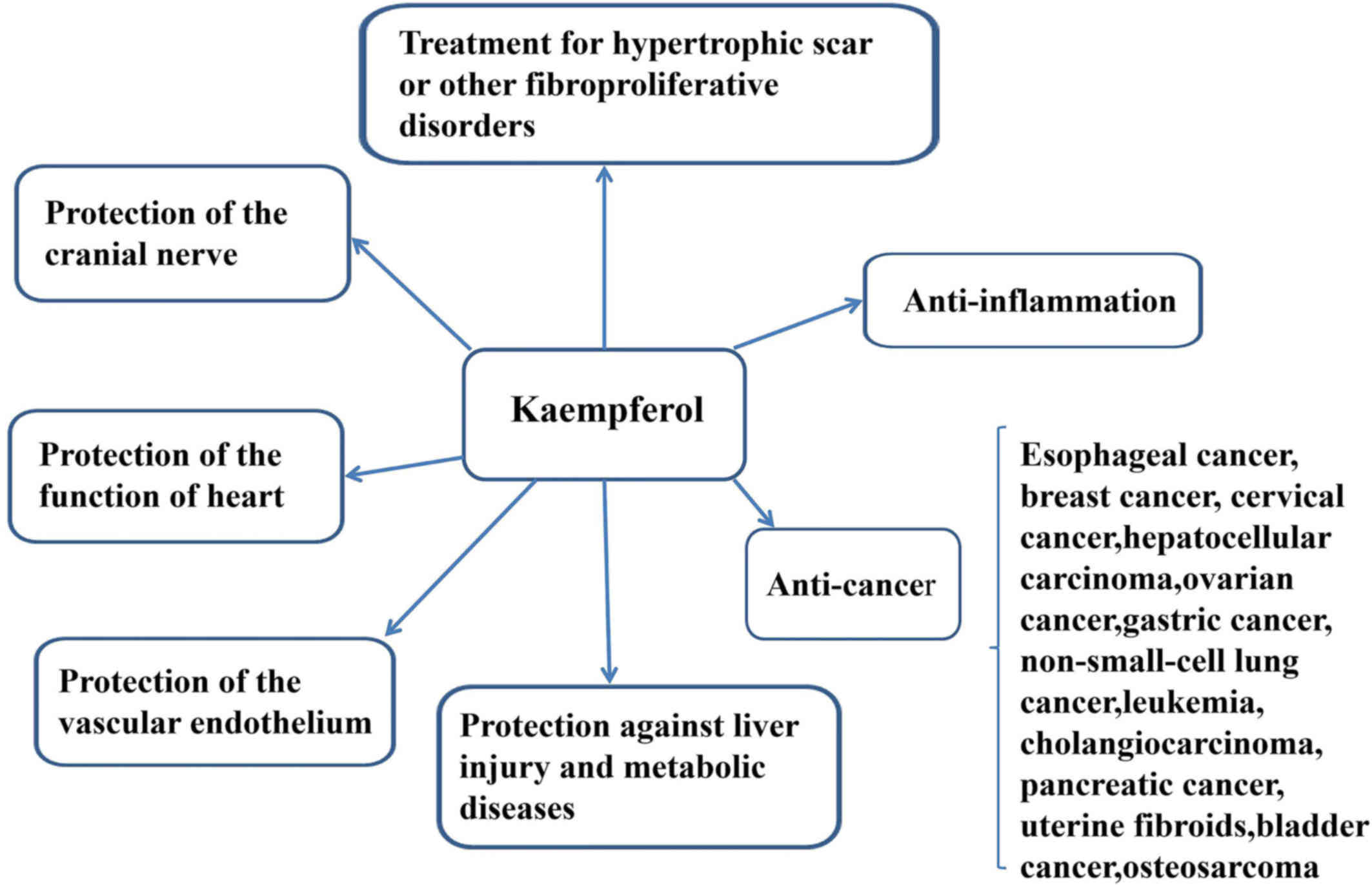 kaempferol 98% Powder