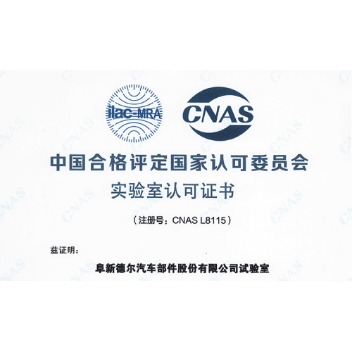 DARE AUTO successfully passed the CNAS Audit