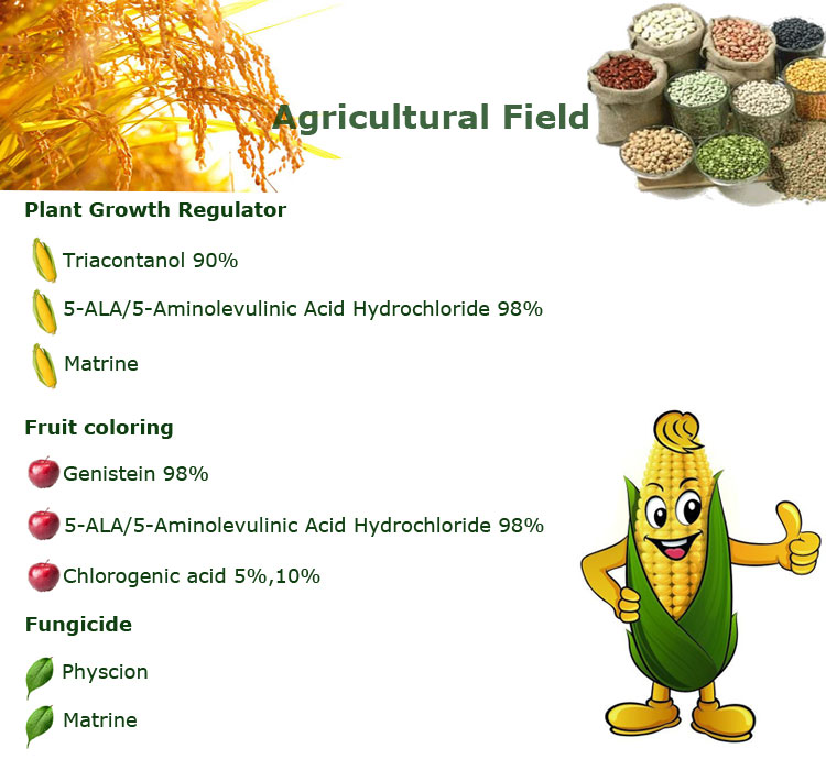 Regulador de crescimento vegetal Triacontanol N-Triacontanol